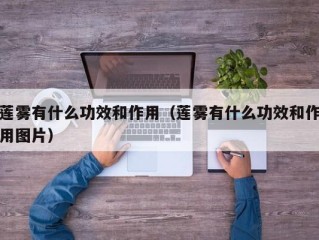 莲雾有什么功效和作用（莲雾有什么功效和作用图片）