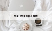 牛子（牛子是什么部位）