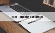 殷桃（殷桃嘴唇上长的是啥）