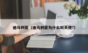 迪马利亚（迪马利亚为什么叫天使?）