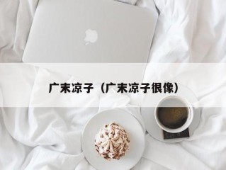 广末凉子（广末凉子很像）