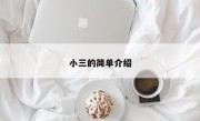 小三的简单介绍