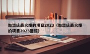 加盟店最火爆的项目2023（加盟店最火爆的项目2023面馆）