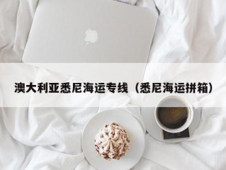 澳大利亚悉尼海运专线（悉尼海运拼箱）