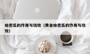 哈密瓜的作用与功效（黄金哈密瓜的作用与功效）