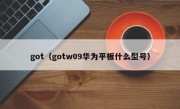 got（gotw09华为平板什么型号）