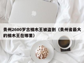 贵州2600岁古楠木王被盗割（贵州省最大的楠木王在哪里）