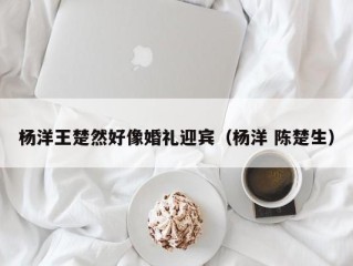 杨洋王楚然好像婚礼迎宾（杨洋 陈楚生）