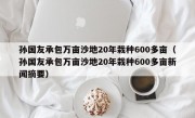 孙国友承包万亩沙地20年栽种600多亩（孙国友承包万亩沙地20年栽种600多亩新闻摘要）