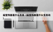 庙堂伟器是什么生肖（庙堂伟器是什么生肖动）