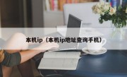 本机ip（本机ip地址查询手机）