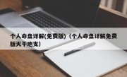 个人命盘详解(免费版)（个人命盘详解免费版天干地支）