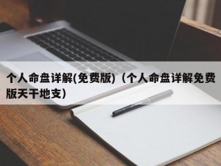 个人命盘详解(免费版)（个人命盘详解免费版天干地支）