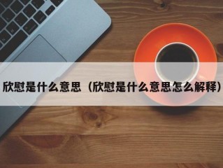 欣慰是什么意思（欣慰是什么意思怎么解释）