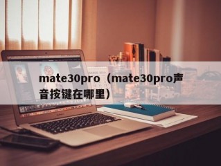 mate30pro（mate30pro声音按键在哪里）