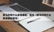 属马的和什么属相最配、相克（属鸡的和什么属相最配相克）