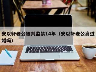 安以轩老公被判监禁14年（安以轩老公离过婚吗）