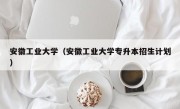 安徽工业大学（安徽工业大学专升本招生计划）