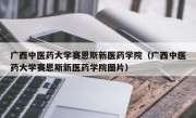 广西中医药大学赛恩斯新医药学院（广西中医药大学赛恩斯新医药学院图片）