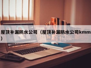 屋顶补漏防水公司（屋顶补漏防水公司kmm）