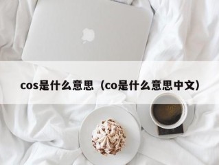 cos是什么意思（co是什么意思中文）