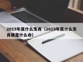 2019年属什么生肖（2019年属什么生肖猪是什么命）