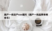 国产一线日产suv图片（国产一线品牌有哪些车）