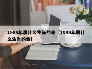 1988年属什么生肖的命（1999年属什么生肖的命）