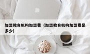 加盟教育机构加盟费（加盟教育机构加盟费是多少）