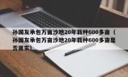 孙国友承包万亩沙地20年栽种600多亩（孙国友承包万亩沙地20年栽种600多亩是否属实）