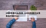 2000年属什么生肖（2000年属什么生肖五行属什么）