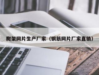 爬架网片生产厂家（钢筋网片厂家直销）