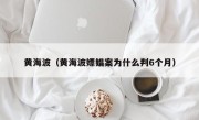 黄海波（黄海波嫖娼案为什么判6个月）