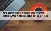 71岁奶奶带祖孙三代自驾川藏线（71岁奶奶带祖孙三代自驾川藏线开的那个车是什么车）