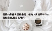 属猪的和什么属相最配、相克（属猪的和什么属相最配,相克属马的）