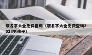 取名字大全免费查询（取名字大全免费查询2023男孩子）