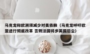 马克龙称欧洲须减少对美依赖（马克龙呼吁欧盟进行彻底改革 否则法国将步英国后尘）