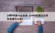 2000年属什么生肖（2000年属什么生肖龙是什么命）