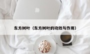 东方树叶（东方树叶的功效与作用）