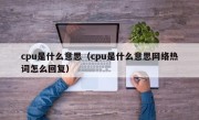 cpu是什么意思（cpu是什么意思网络热词怎么回复）