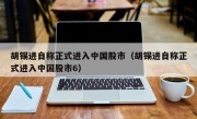 胡锡进自称正式进入中国股市（胡锡进自称正式进入中国股市6）