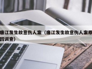 廉江发生故意伤人案（廉江发生故意伤人案原因调查）