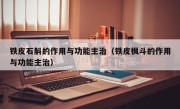 铁皮石斛的作用与功能主治（铁皮枫斗的作用与功能主治）