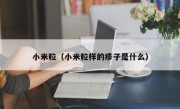 小米粒（小米粒样的疹子是什么）