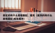 属蛇的和什么属相最配、相克（属狗的和什么属相最配,相克相冲）