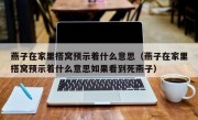 燕子在家里搭窝预示着什么意思（燕子在家里搭窝预示着什么意思如果看到死燕子）