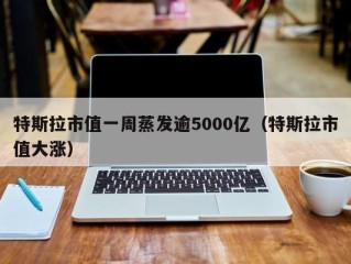 特斯拉市值一周蒸发逾5000亿（特斯拉市值大涨）