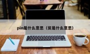 pin是什么意思（贫是什么意思）