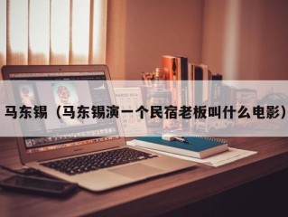 马东锡（马东锡演一个民宿老板叫什么电影）