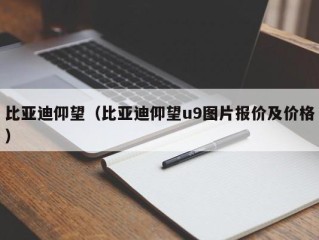 比亚迪仰望（比亚迪仰望u9图片报价及价格）